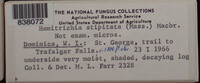 Image Associated With the Occurence
